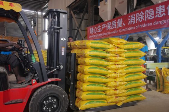 How to Choose the Right Concentrate Feed for Livestock in Nigeria: Protein, Energy & Premix Ratios Explained